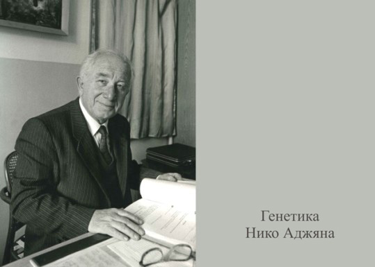 Нико Аджян, Nico Hajyan